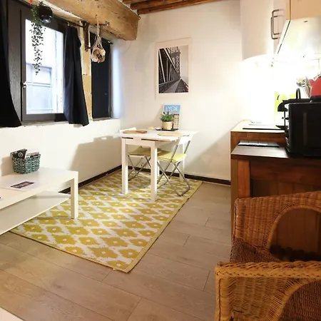Appartement Charming Studio Centre Ville De Lyon *