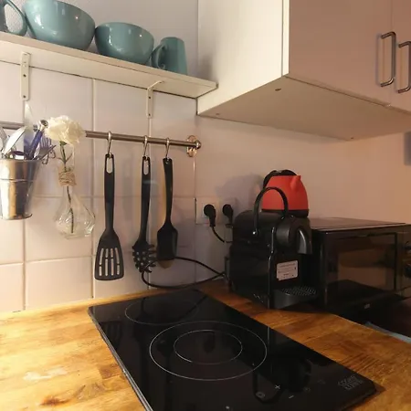 Charming Studio Centre Ville De Lyon Appartement *