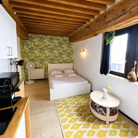 Fully Furnished Studio City Center Апартаменты Лион