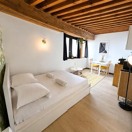 Апартаменты Fully Furnished Studio City Center Лион