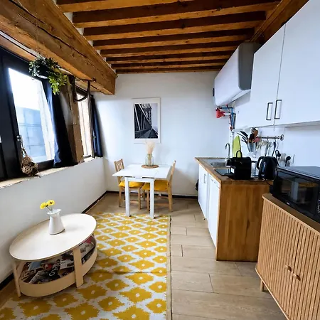 Fully Furnished Studio City Center * Лион
